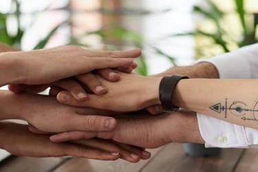 2020�Ա�11.11��֯�౨��Ҫ����ʲô?�����������?