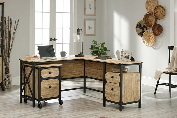 ����è���Ա���˫ʮһ��?˫ʮһ���������� ��