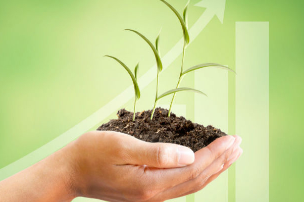 2021����è˫ʮһ��������Ƕ���?����Щ����?