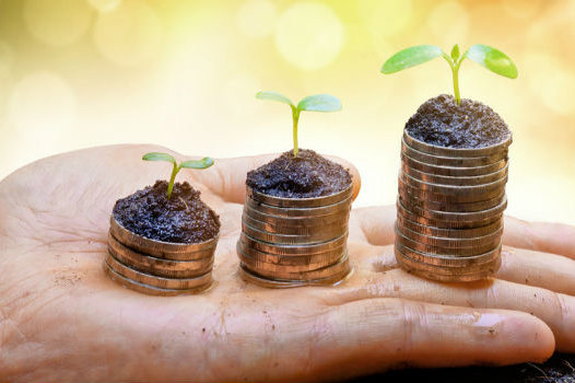 �����ŵ��С���������ʲô?�����ŵ���פҪ����ʲô?