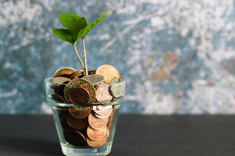 2020�Ա�11.11������������������ʲô?����Ҫ����ʲô?