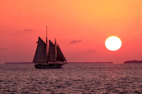 ����С�����ѡƷ?�кμ���?