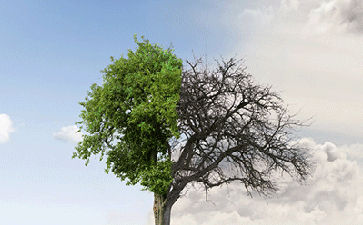 �Ա�ֱ����ô��ô������� ���˿���ֱ��Ʒ�ƻ���