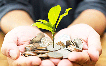 �Ա���ƷDSR������ʲô��˼ �Ա������µ������˷�������ô��