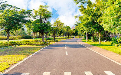 �Ա��ı�֤���������ｻ�� �Ա�������ɱ�֤������������