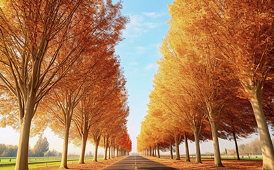 ��è����ƽ�۵�����èֱӪ�� ��פ��è���̼�����