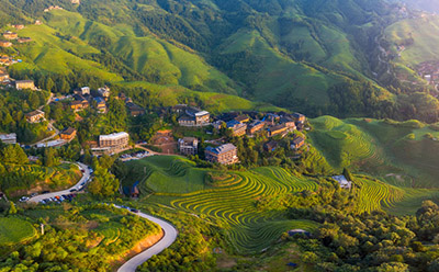 ��èֱ�������������￴ ��è����ֱ��������ʲôҪ��