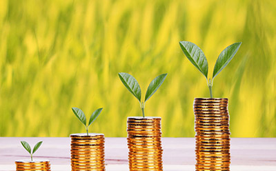 ��è���Ա���ʲô���� �����Ա�����è�Ͱ���Ͱ���ʲô����