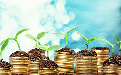 shein�羳����ƽ̨��ô��פ �羳����shein������פ