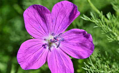 ���㿪ͨ����Ҫ��5000ԪѺ���� ������Ҫ��֤����