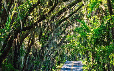 ����ת����ʲô��˼ �����ϵ�ת��ʲô��˼