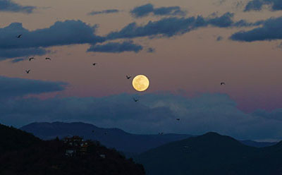 �Ա�������ô��������������� �Ա�������ô��������