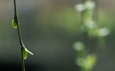 �Ա���ѵ���ѧ��һ���Ƕ���