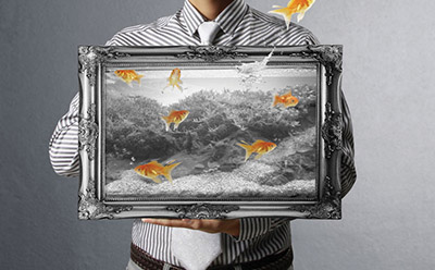 �Ա�����Ҫȫ����Ӫҵִ���� �Ա����·���ҪʲôӪҵִ��