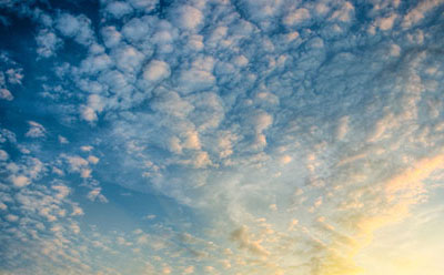 �Ա���������Ȩ������Щ��������ô��Ȩ�أ�