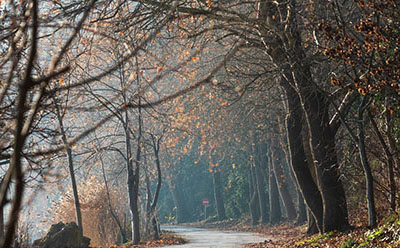 �Ա��˻��ֿ۵��Խ�һ����� �˿���Խ�һ��˻���