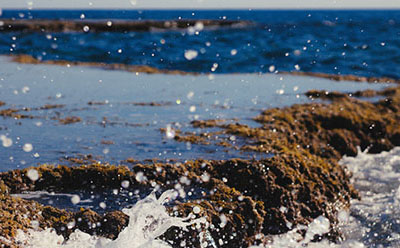 �Ա�����Υ��ͱ��۷���ô�� �Ա������˵��ÿ���Υ������ô��