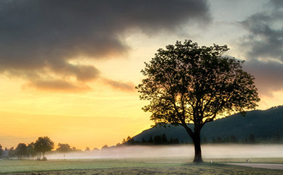 ��èĸӤ���͵�����ʲô������Щ���ƣ�