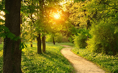 ��������Ӷ����ô�� ����С��Ӷ����շѱ�׼