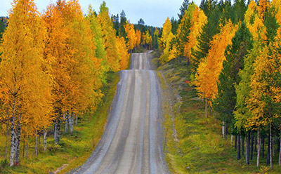 �Ա�����������Ʒ������ �Ա�����������Ʒ19.9�������