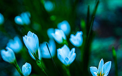 �Ա�����������ô��פ �Ա���β鿴�Լ��ĵ���