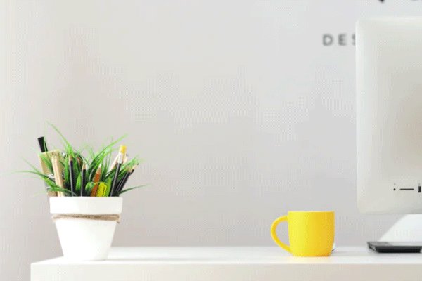 ��è����Ӫ������