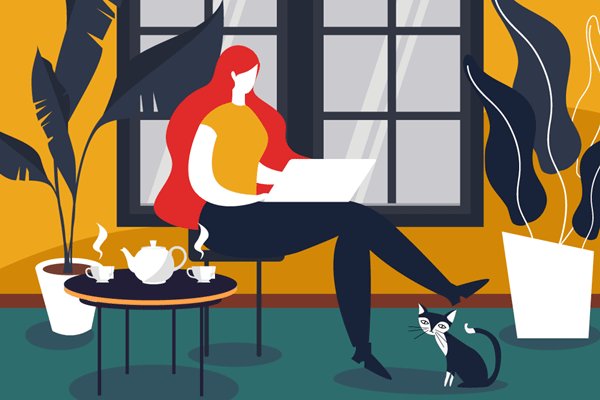 �ֹ�˾����������פ��è�𣿹������