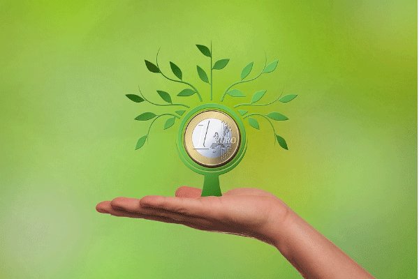 ����ֱ�������ǲ�����Ʒ ����ѡƷ�㳡��ƷҪ�Լ�����