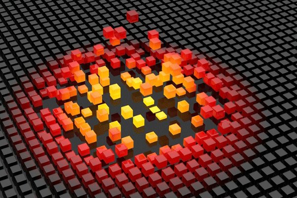 ����è���ʿ�����ҪЩɶ��������Ҫ����Ǯ��