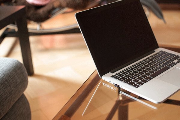 �����è�����Ǯ ��������������Ҫ�����ʽ�