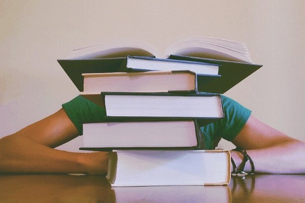 ��è���̽�����Щ��Ӫ��Ŀ����è���̸�ֵ�ù���