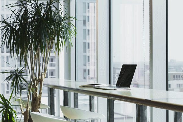 �Ա����������ĸ��� �Ա�������ôʹ����ѵĴ��۹���