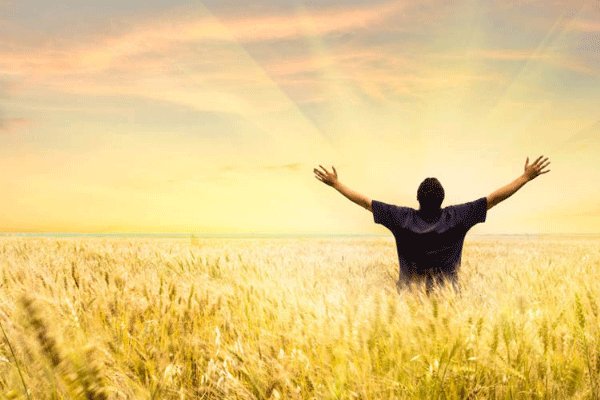 ����ֵ��ο��ٴﵽ1000 �Ա�����ֵ��ô������1000