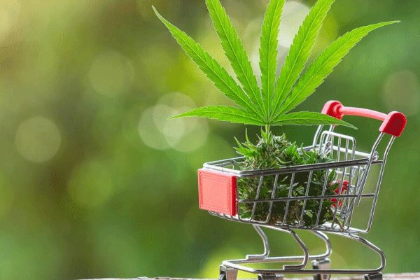 ˫ʮһ�ɽ���ʵʱֱ�������ܿ��� ��è˫11����Сʱ���˶�����