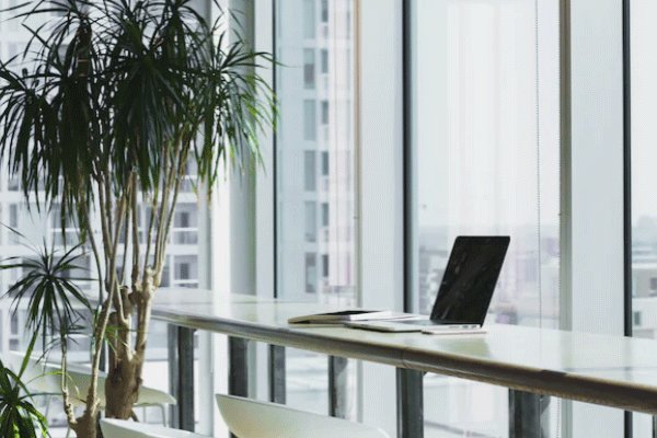 ����ʲô���̹���������� ��ܼ���ʲô