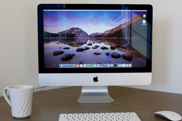 �����ı��Ϊ�����ṩ��Щ���� �����ı��Ҫ��ʲô����