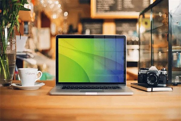 ��פ��è�����콢���רӪ���ĸ��� ��è���ʵ��콢���ר������������