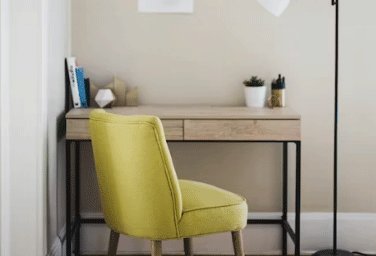 ���ѡ���Ա�����è