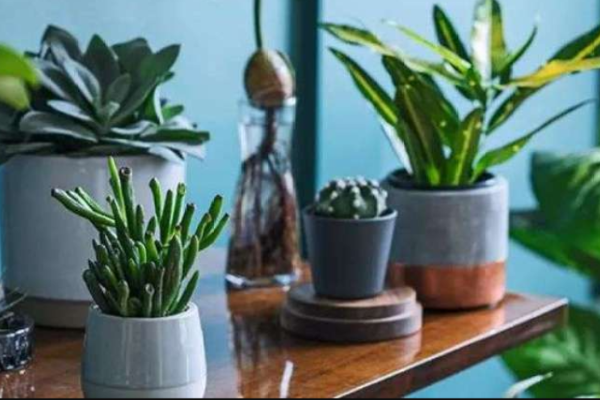 ���ֿ�ƴ������������������