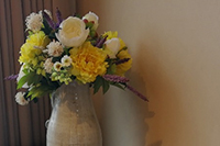 ������������Ҫ����Ǯ(����,�����Ҫ����Ǯ)