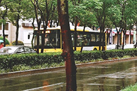 �Ա����������͵�ԭ����ʲô������ô������