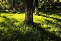 ֱͨ���û��Ǽ����ƺ��ƹ�����Щ����