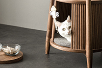 ֱͨ������Ż�