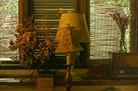 ��ʹ�ó����Ա�����Ӫ�����������Ա���ӪӦ��ע��Щʲô��