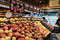 ֱͨ��Ͷ���ȶ��ٲ���ӯ��