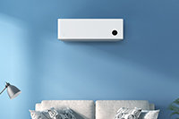 ���������è������Ӫ��