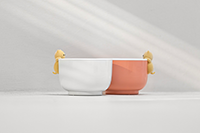 ֱͨ���ƹ��н�����Ʒͼ����Ӿ��Ż�Ҫע���ļ�������