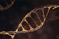 ֱͨ������������Ҫ�������