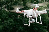 ����ѧ�������Ա�ֱ��������