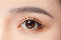 ֱͨ��������·-ѧ��ƻ�����